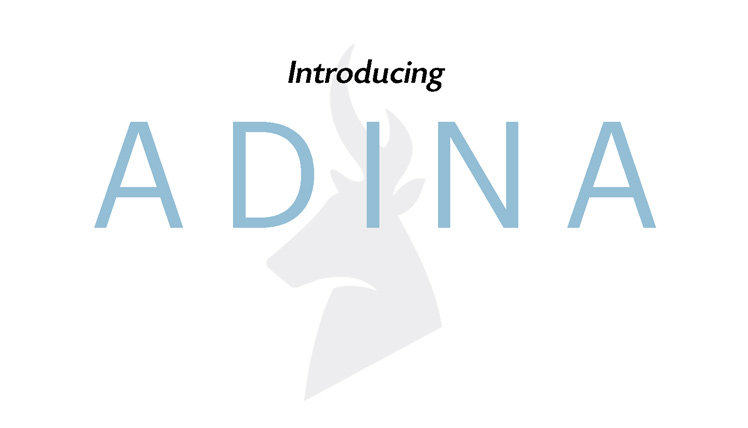 Introducing ADINA