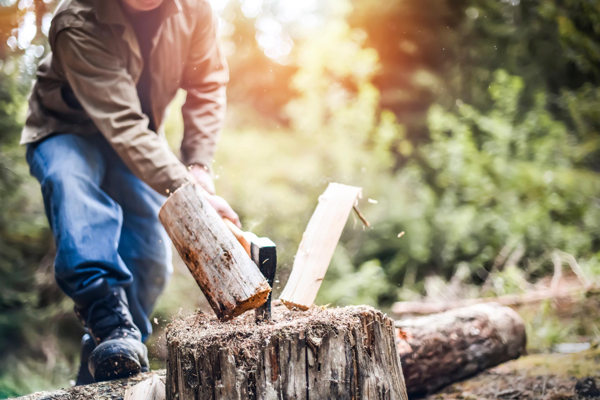 WOODCHOPPING_AdobeStock_353246613 WOODCHOPPING_AdobeStock_353246613